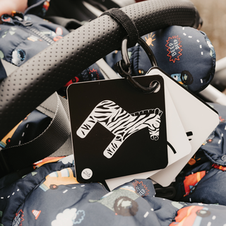Sensory Pram & Travel Cards